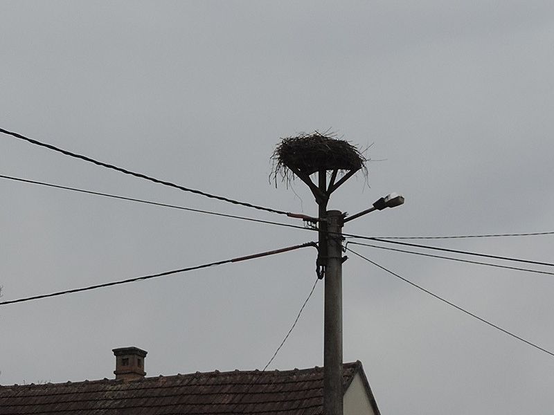 Poljana, Varoška ulica