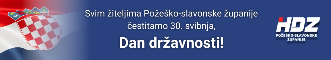 HDZ PSŽ - DD2026 - naslovnica - prvi