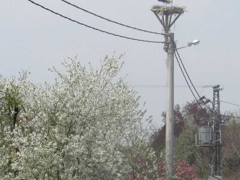 Kukunjevac