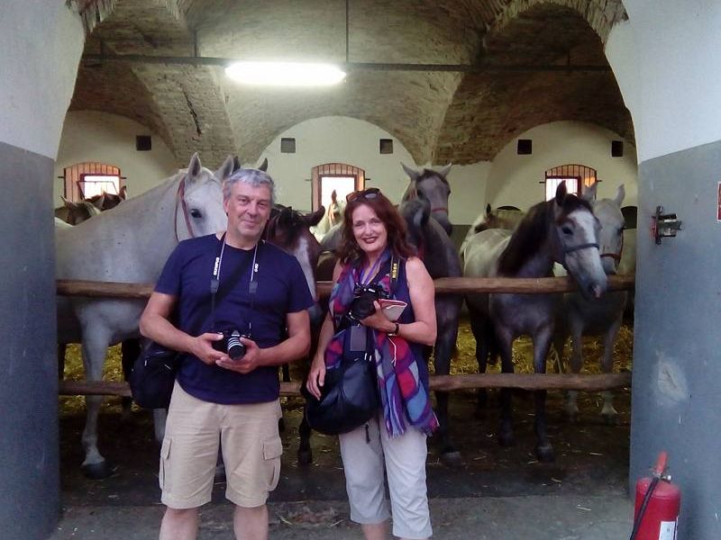 Foto: Facebook/Državna Ergela Lipik