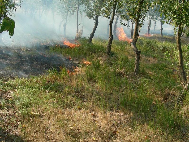 Foto: V. Šurkalović