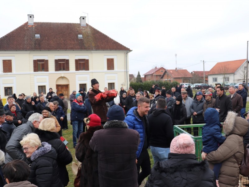 Tradicionalna licitacija domaćih životinja u Gaju održava se već dva stoljeća. / Compas.hr