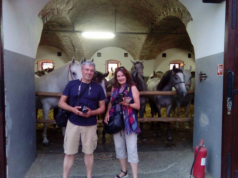 Foto: Facebook/Državna Ergela Lipik