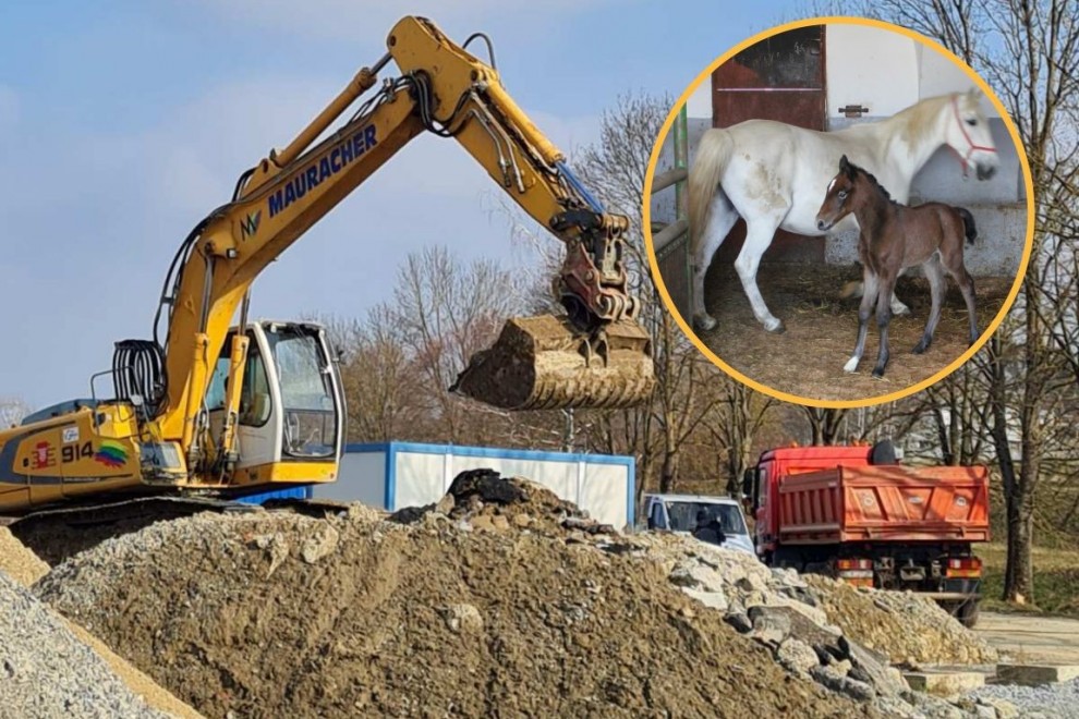 Započeli su radovi na izgradnji nove Ergele u Lipiku / Compas.hr