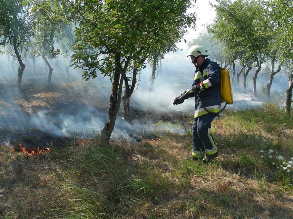 Foto: V. Šurkalović